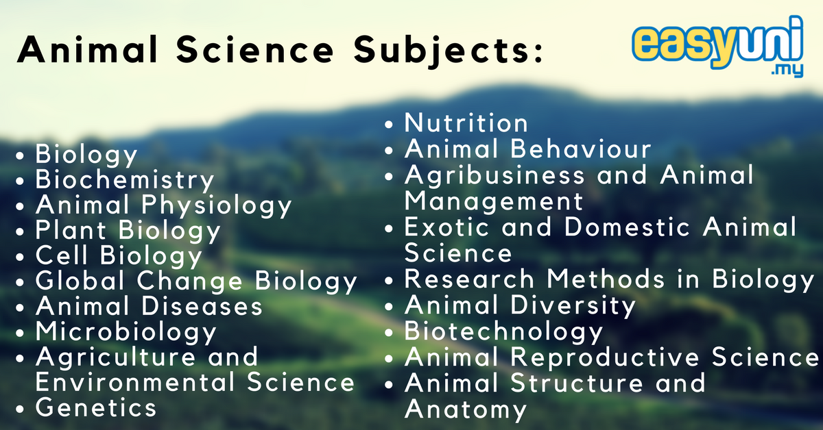 Bachelor Of Science In Agriculture Major In Animal Science - INFOLEARNERS